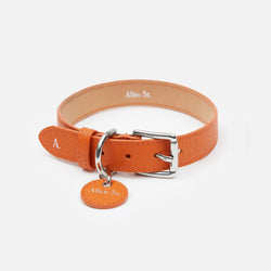 CHARLIE - LEATHER DOG COLLAR – Allen St.