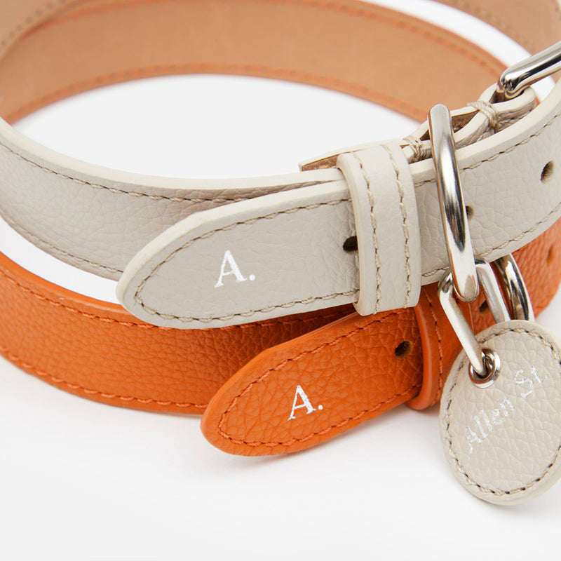 CHARLIE - LEATHER DOG COLLAR