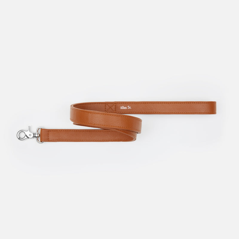 CHARLIE - LEATHER DOG LEASH