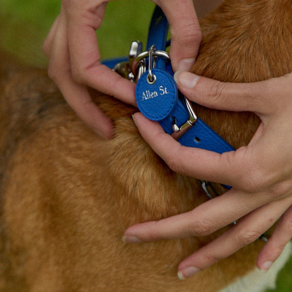 CHARLIE - LEATHER DOG COLLAR